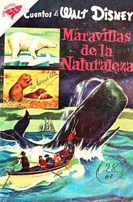 Cuentos de Walt Disney #170