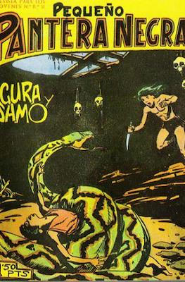 Pantera Negra / Pequeño Pantera Negra #120