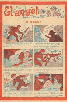 El Ángel #310