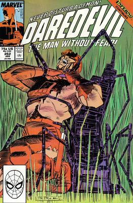 Daredevil Vol. 1 (1964-1998) (Comic Book) #262