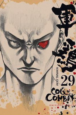 Coq de combat #29
