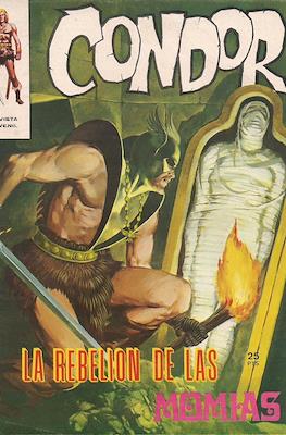 Condor #7