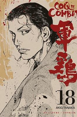 Coq de combat #18