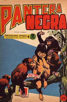 Pantera Negra #29