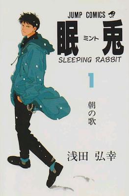 眠兎 (Sleeping Rabbit)