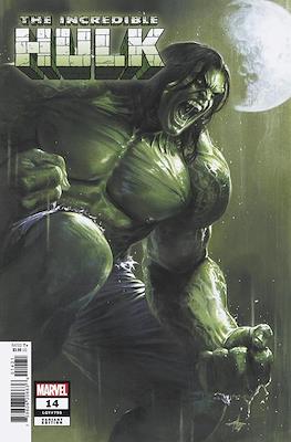 The Incredible Hulk (2023-Variant Cover) (Comic Book) #14.1