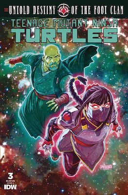 Teenage Mutant Ninja Turtles: The Untold Destiny of the Foot Clan #3