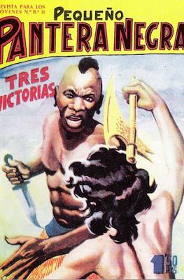 Pantera Negra / Pequeño Pantera Negra #76