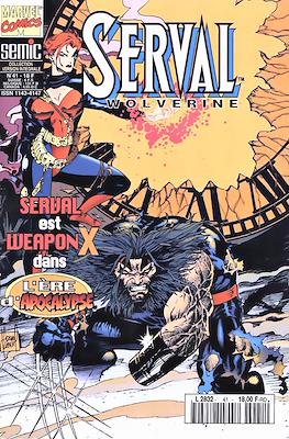 Serval / Wolverine Vol. 1 #41