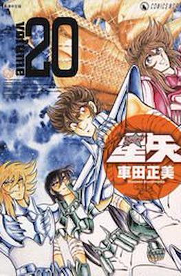 聖闘士星矢 完全版 (Saint Seiya) #20