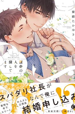 運命の人を探してます I Wont To Meet My Destiny (Unmei no Hito wo Sagashitemasu)