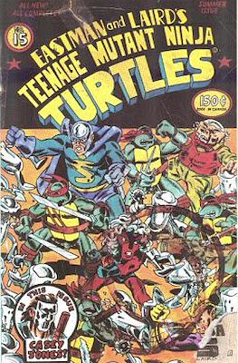 Teenage Mutant Ninja Turtles Vol.1 #15