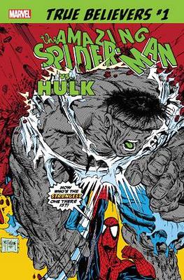 True Believers - The Amazing Spider-Man Vs. Hulk