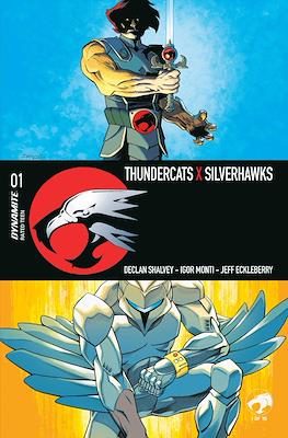 Thundercats x Silverhawks (2026)
