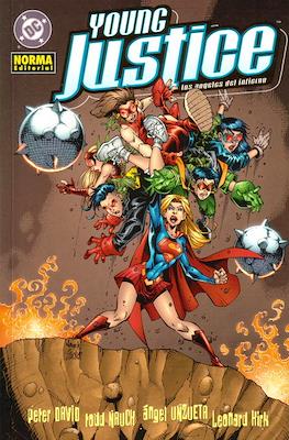 Young Justice #4