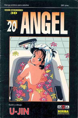 Angel (Rústica) #20