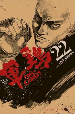 Coq de combat #22