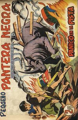 Pantera Negra / Pequeño Pantera Negra #239