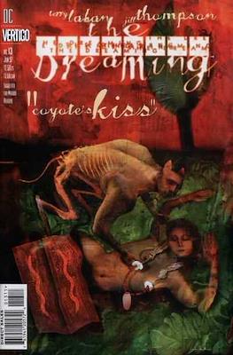 The Dreaming #13