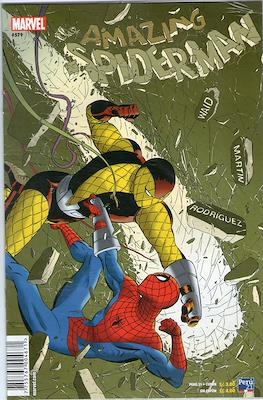 The Amazing Spider-Man (Grapa) #579