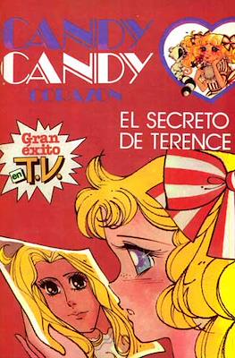 Candy Candy corazón (Grapa) #18