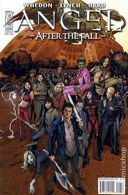 Angel After the Fall (2007-2009 Variant Cover) #17