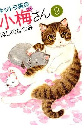 キジトラ猫の小梅さん 虎斑猫小梅 (Kijitora Neko no Koume-san) #9