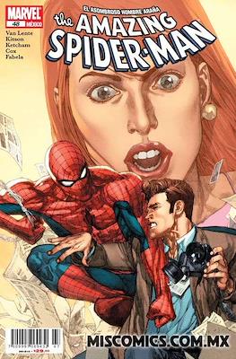The Amazing Spider-Man (Grapa) #48
