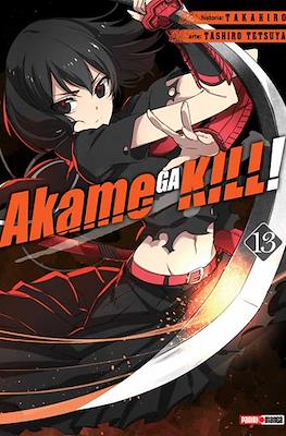 Akame ga Kill! (Rústica) #13