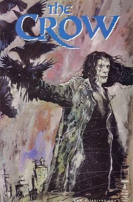 The Crow #8