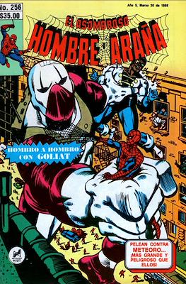 El Asombroso Hombre Araña #256