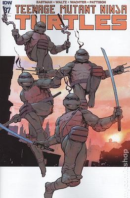 Teenage Mutant Ninja Turtles (2011-...Variant Covers) #87.1
