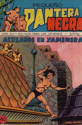 Pequeño Pantera Negra #60