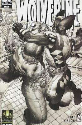 Wolverine / Dark Wolverine (2003-2010 Variant Cover) #53