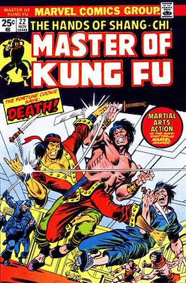 Master of Kung Fu #22