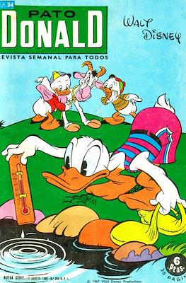 Pato Donald #34