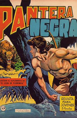 Pantera Negra #17