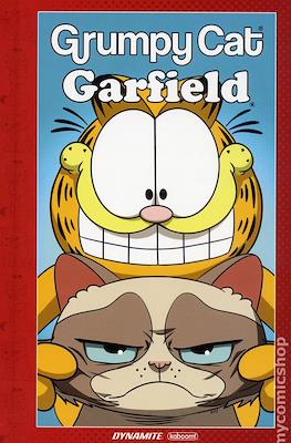 Grumpy Cat Garfield