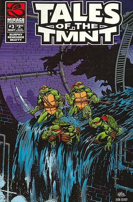 Tales of the TMNT (2004-2011) #3