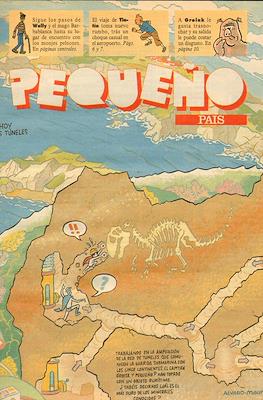 El Pequeño País #597