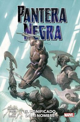 Pantera Negra (2019-2021) 100% Marvel #2