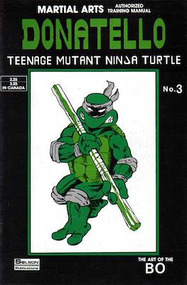 Teenage Mutant Ninja Turtles Teach Karate #3