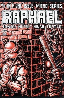Teenage Mutant Ninja Turtles Micro-Series #1