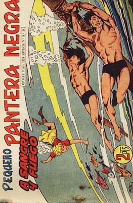 Pantera Negra / Pequeño Pantera Negra #207