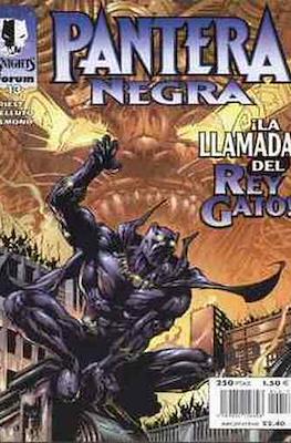 Pantera Negra (1999-2000). Marvel Knights #13