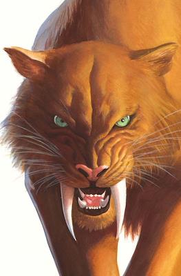Black Cat (2025 - Variant Covers) #2.1