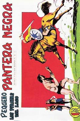Pantera Negra / Pequeño Pantera Negra #179