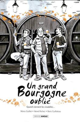 Un grand Bourgogne oublié #2
