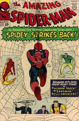 The Amazing Spider-Man Vol. 1 (1963-1998) #19