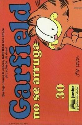 Garfield (Rústica) #30